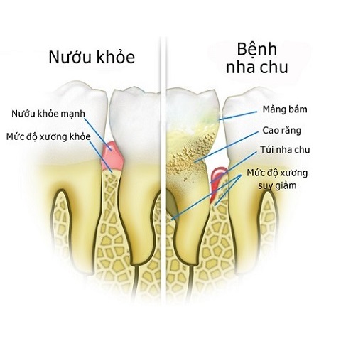 hiuclinic.vn